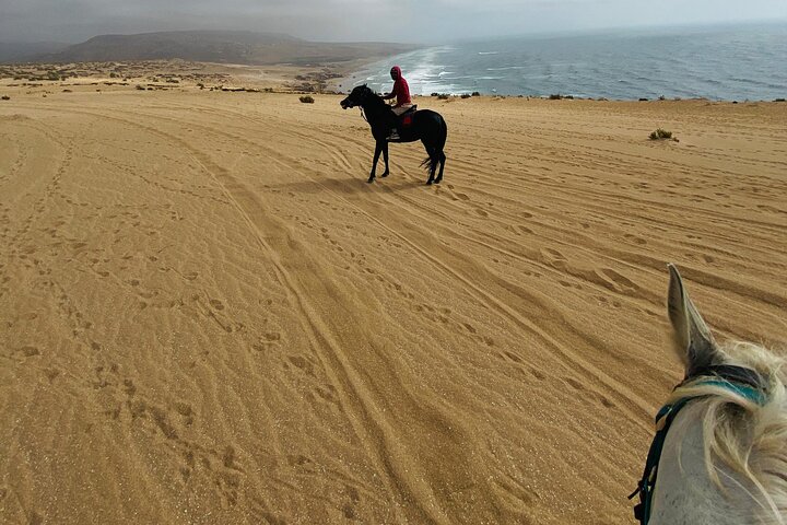 A person riding a horse on a beach.